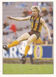 1990 Select AFL Stickers #146 Andrew Collins Front